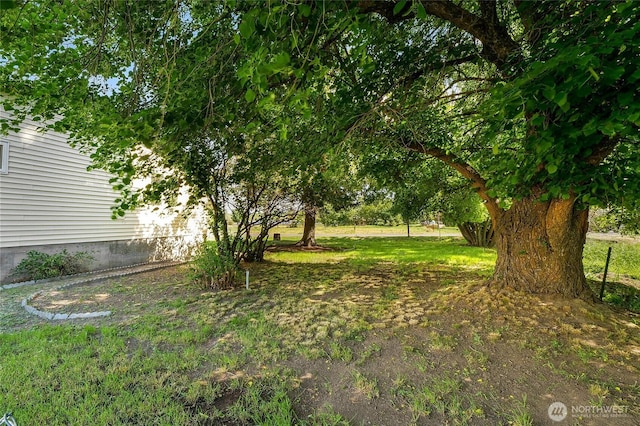 449 NE Cliff Ave, Wilbur, WA 99185 - view of green lawn