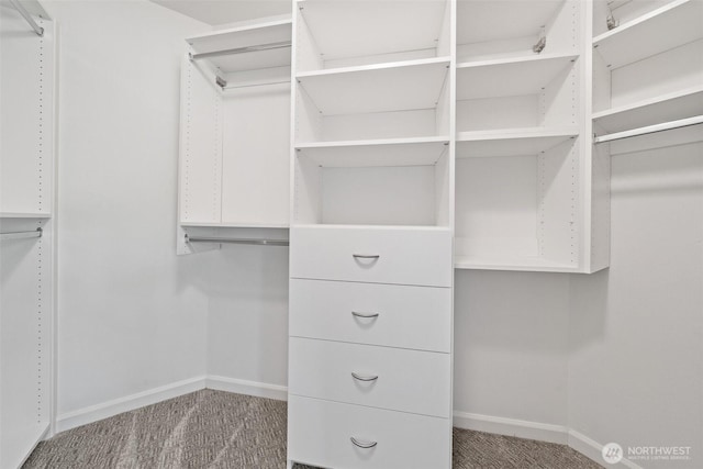 7114 Hazel Pl SE, Auburn, WA 98092 - spacious closet featuring carpet flooring
