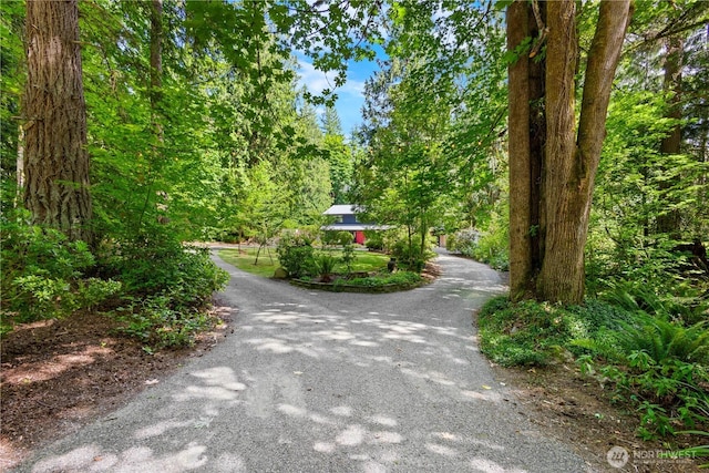 15052 253rd Ave SE, Issaquah, WA 98027 - view of dirt / gravel road with a view of trees