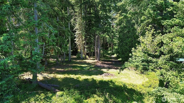 2515LOTAB Bretland Rd, Camano Island, WA 98282