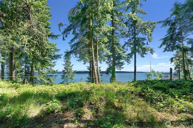 2515LOTAB Bretland Rd, Camano Island, WA 98282