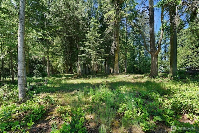 2515LOTAB Bretland Rd, Camano Island, WA 98282