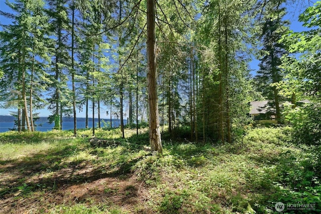 2515LOTAB Bretland Rd, Camano Island, WA 98282