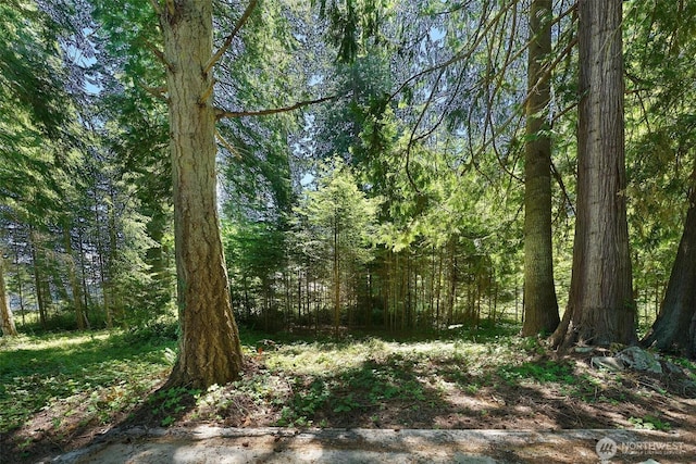 2515LOTAB Bretland Rd, Camano Island, WA 98282