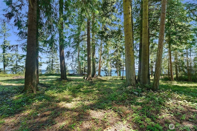 2515LOTAB Bretland Rd, Camano Island, WA 98282