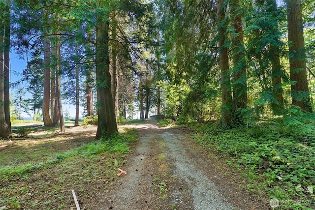 2515LOTAB Bretland Rd, Camano Island, WA 98282