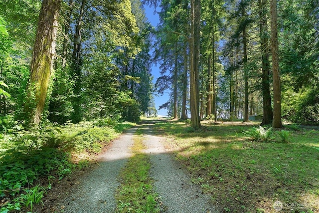 2515LOTAB Bretland Rd, Camano Island, WA 98282