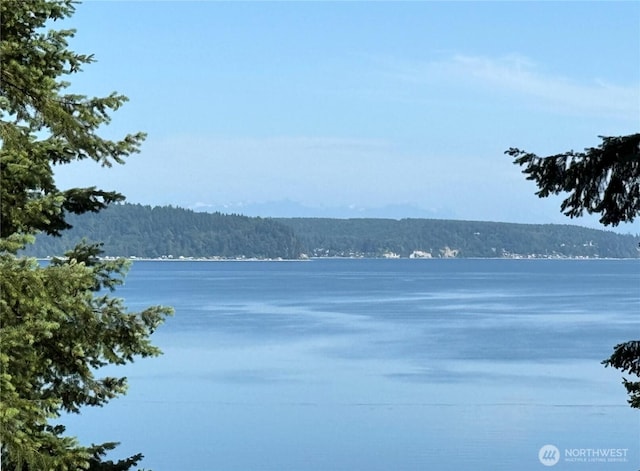 2515LOTAB Bretland Rd, Camano Island, WA 98282