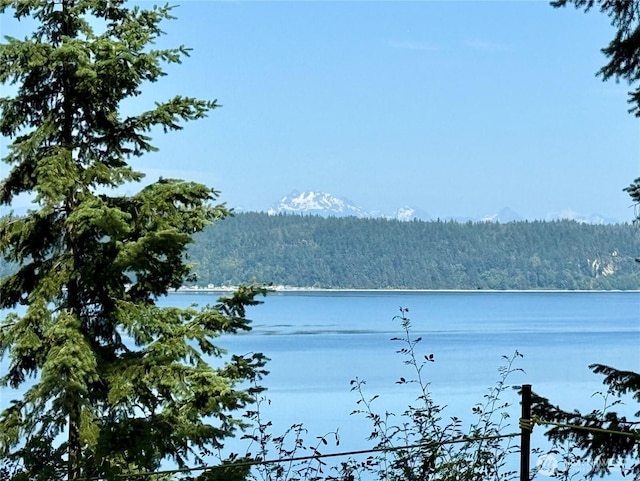 2515LOTAB Bretland Rd, Camano Island, WA 98282
