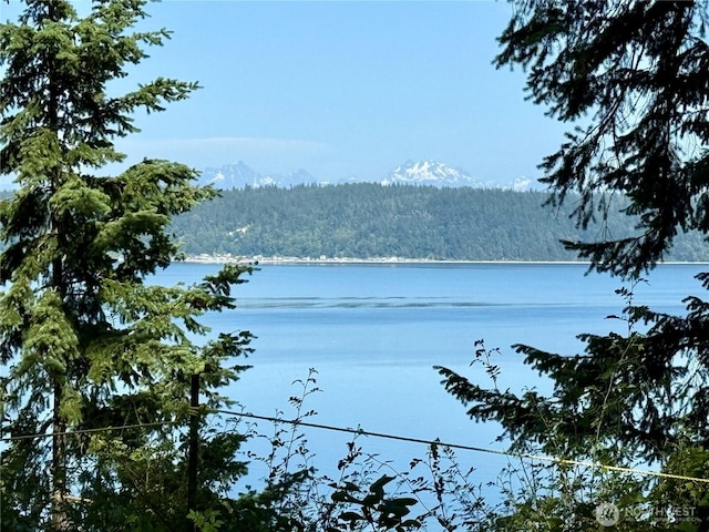 2515LOTAB Bretland Rd, Camano Island, WA 98282
