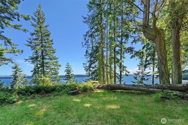 0 Bretland Rd, Camano Island, WA 98282