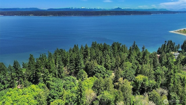 0 Bretland Rd, Camano Island, WA 98282