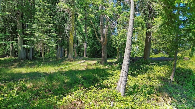 0 Bretland Rd, Camano Island, WA 98282