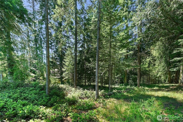 0 Bretland Rd, Camano Island, WA 98282