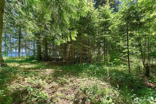 0 Bretland Rd, Camano Island, WA 98282