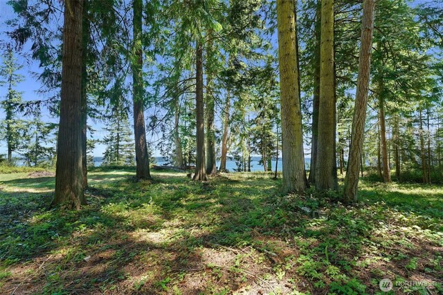 0 Bretland Rd, Camano Island, WA 98282