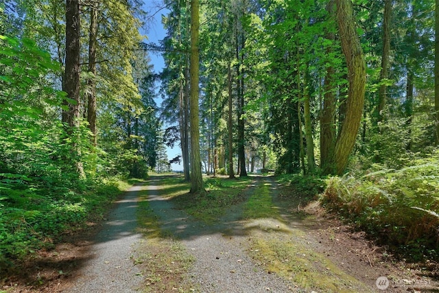 0 Bretland Rd, Camano Island, WA 98282