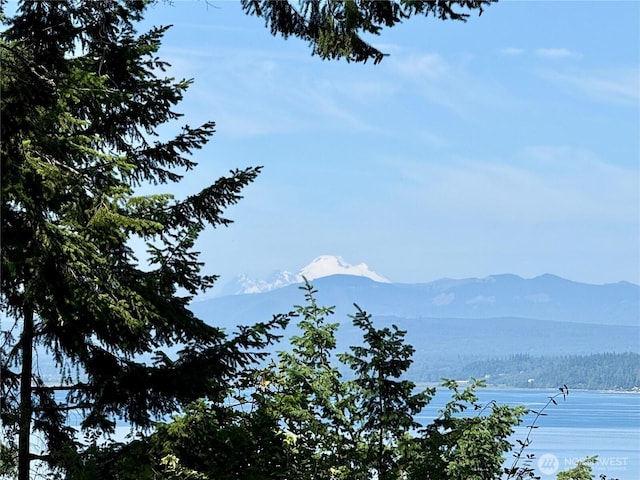 0 Bretland Rd, Camano Island, WA 98282