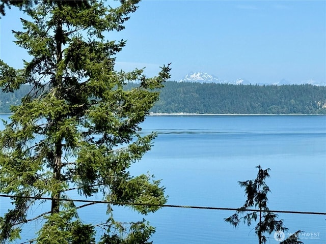 0 Bretland Rd, Camano Island, WA 98282