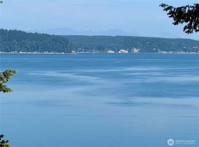 0 Bretland Rd, Camano Island, WA 98282