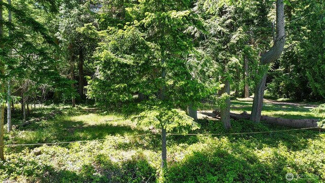 2515 Bretland Rd, Camano Island, WA 98282 - photo 8