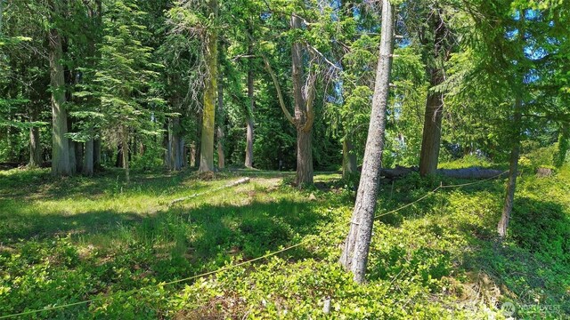 2515 Bretland Rd, Camano Island, WA 98282 - photo 9