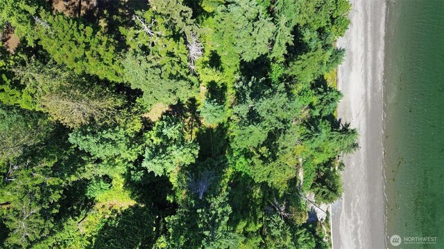 2515 Bretland Rd, Camano Island, WA 98282 - photo 10