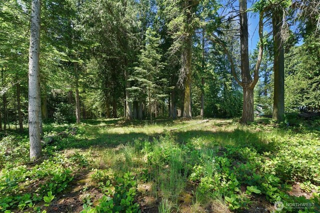 2515 Bretland Rd, Camano Island, WA 98282 - photo 16