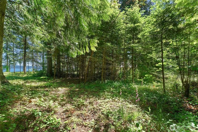 2515 Bretland Rd, Camano Island, WA 98282 - photo 18
