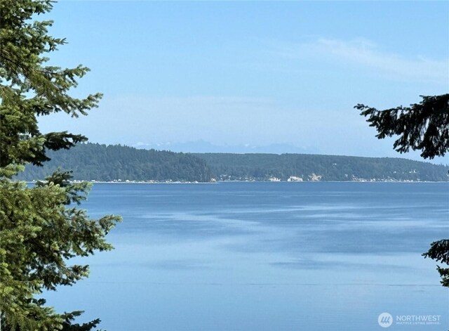 2515 Bretland Rd, Camano Island, WA 98282 - photo 5