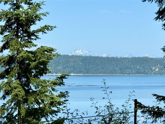 2515 Bretland Rd, Camano Island, WA 98282 - photo 6