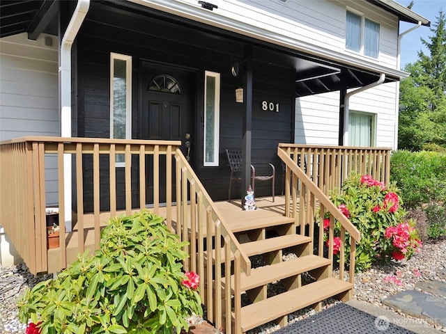 801 Hassalo Ave SE, Ocean Shores, WA 98569 - view of property entrance