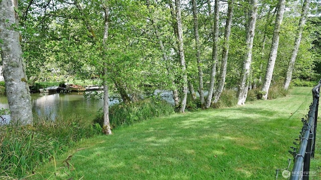801 Hassalo Ave SE, Ocean Shores, WA 98569 - view of grassy yard