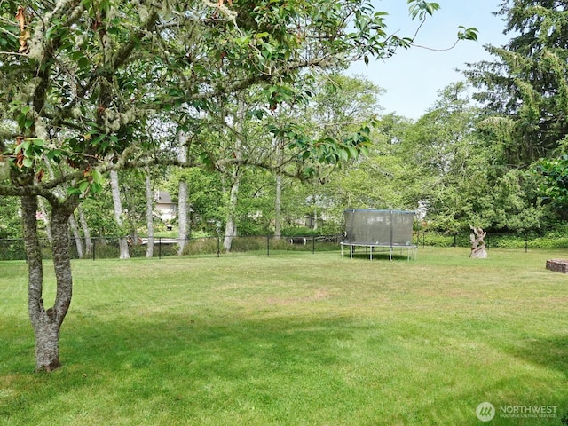 801 Hassalo Ave SE, Ocean Shores, WA 98569 - view of yard featuring a trampoline