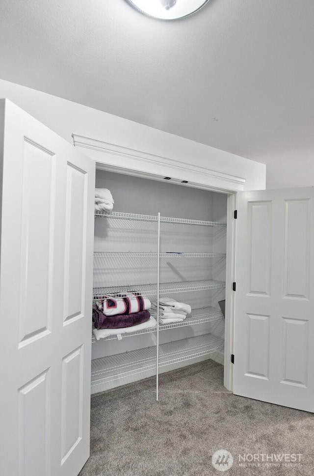 4704 204th Ct E, Spanaway, WA 98387 - view of closet