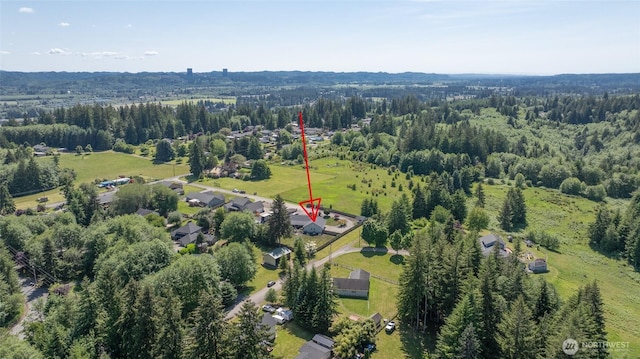 108 Garden Pl, Elma, WA 98541 - bird's eye view of a forest