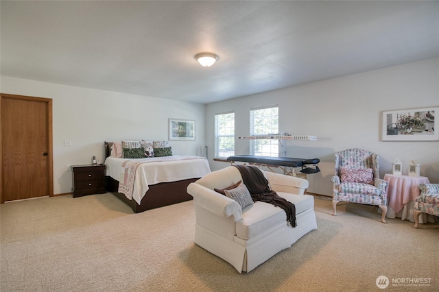 108 Garden Pl, Elma, WA 98541 - bedroom with light colored carpet