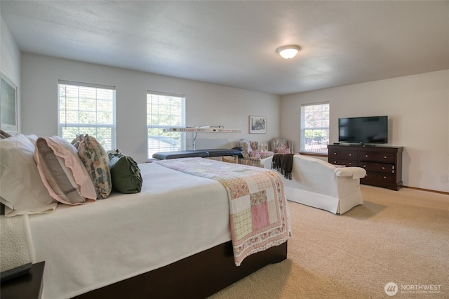 108 Garden Pl, Elma, WA 98541 - bedroom with light colored carpet