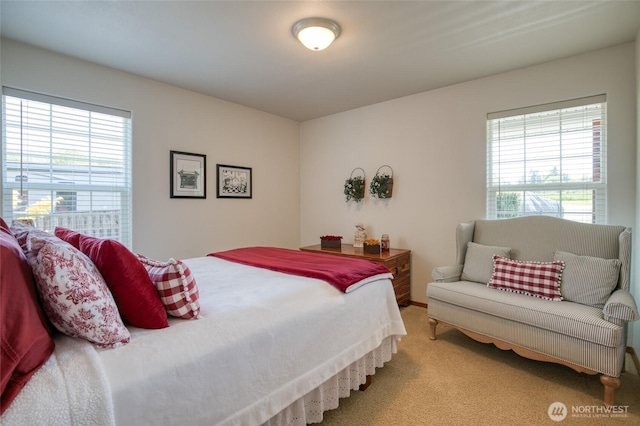 108 Garden Pl, Elma, WA 98541 - carpeted bedroom featuring multiple windows