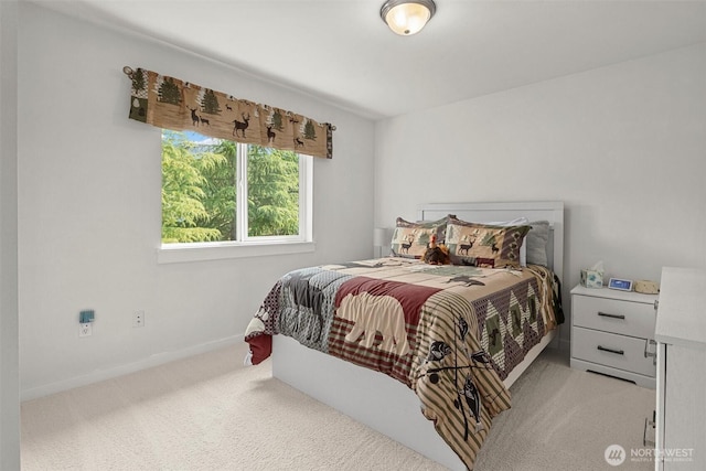 15234 272nd Pl NE, Duvall, WA 98019 - photo 24