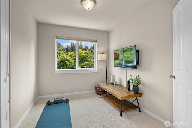 15234 272nd Pl NE, Duvall, WA 98019 - photo 26