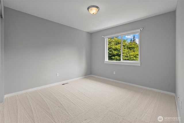 15234 272nd Pl NE, Duvall, WA 98019 - photo 27