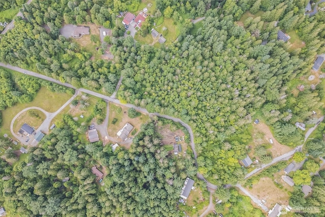0 350th Ln, Ravensdale, WA 98051 - photo 3