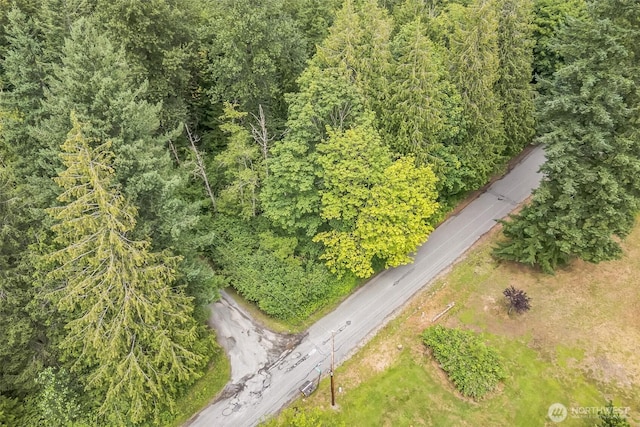 0 350th Ln, Ravensdale, WA 98051 - photo 5
