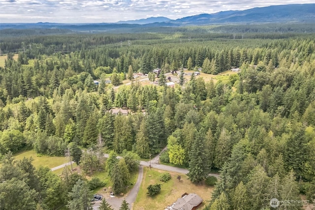 0 350th Ln, Ravensdale, WA 98051 - photo 9
