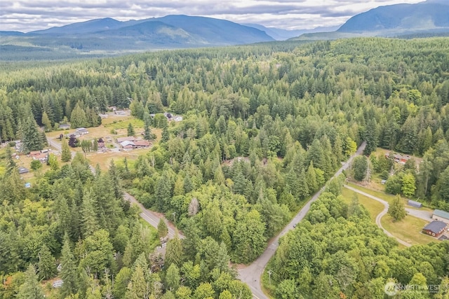 0 350th Ln, Ravensdale, WA 98051 - photo 12