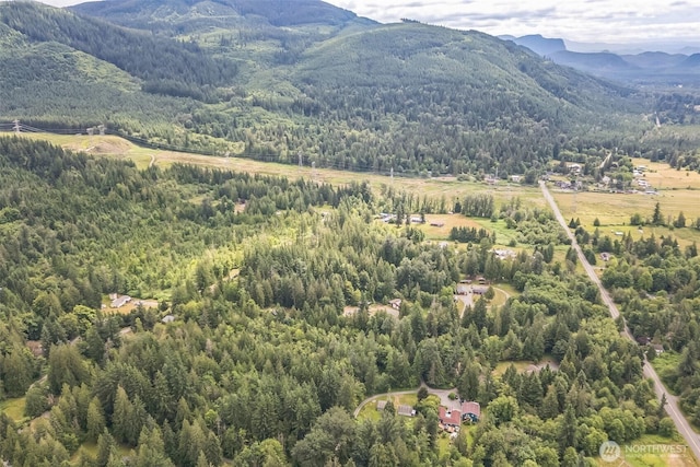 0 350th Ln, Ravensdale, WA 98051 - photo 13