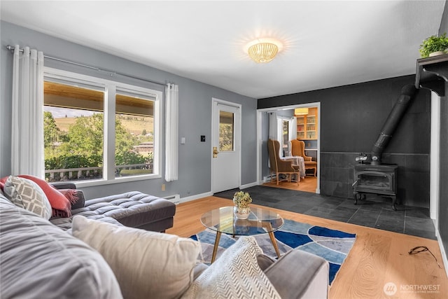 111 Norfolk Rd, Winthrop, WA 98862 - living room with a wood stove and wood finished floors