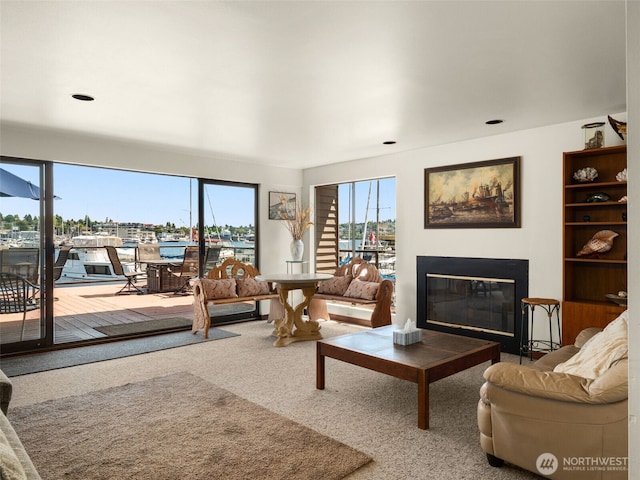 2900 Westlake Ave N, Seattle, WA 98109 - living area featuring a glass covered fireplace and carpet
