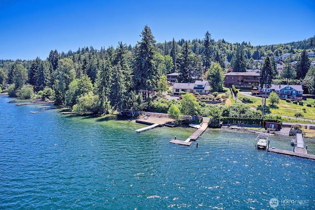2781 Lake Whatcom Blvd, Bellingham, WA 98229 - bird's eye view of a large body of water and a forest